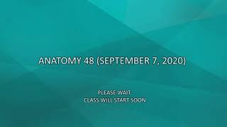Anatomy 48 (September 7, 2020)