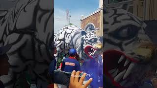 Download lagu HEBOH !!! Tragedi Harimau terbakar Saat Karnaval #shorts#short#shortvideo mp3