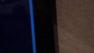 使えないアレクサ（Amazon Echo）#shorts