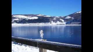 Laceno di Massimo Varini played by Superloco chitarra manouche Aria MM 20