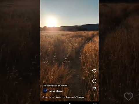 Directo de hoy en Instagram con Aneeka y Annamais #taygeta Pléyades  conversaciones telepáticas