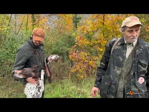 storie-di-caccia: Caccia e cinofilia: nei boschi di Poggio Aquilone con inglesi, continentali e una doppietta F.A.I.R. calibro 28 storie-di-caccia: Caccia e cinofilia: nei boschi di Poggio Aquilone con inglesi, continentali e una doppietta F.A.I.R. calibro 28