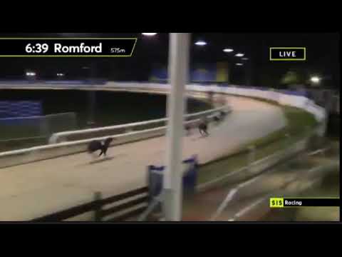 T4 BUMPER CAR, 575m 30/01/2021