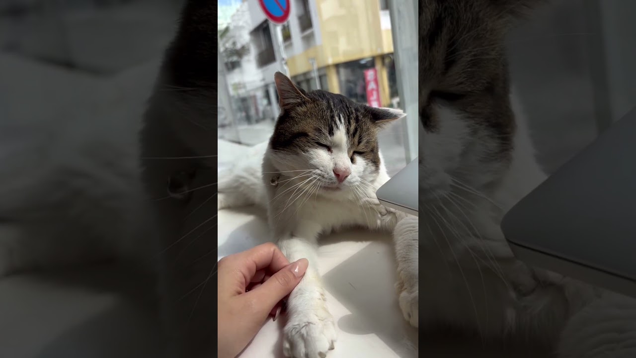 昼下がりの午後