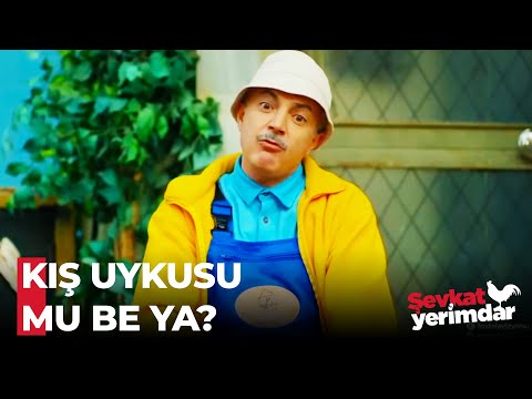 Selami ve Kazım'ın Sokak Yaşamı - Şevkat Yerimdar