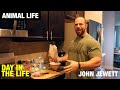 Animal Life | John Jewett's Day in the Life