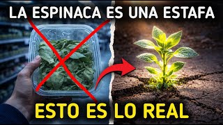 3x Más Calcio que Leche y Espinaca: ¿Por qué 'Borraron' esta Planta?