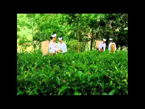 Luong son Hoa Binh, Vietnam