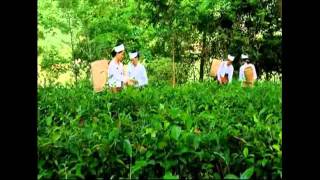 preview picture of video 'Luong son Hoa Binh, Vietnam'