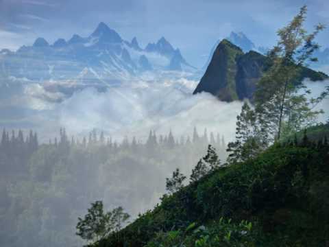 `Schaffs mit mir Gott`, aria BWV 514 | Johann Sebastian Bach