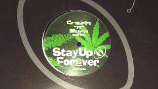 Crash 'n' Burn - No Future For The Dispossessed