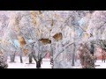 " догорает свеча " 
