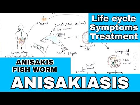 paraziták gyakorisági diagnosztikája