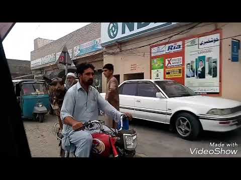 Funny and cool dogs ..malakand Pakistan.