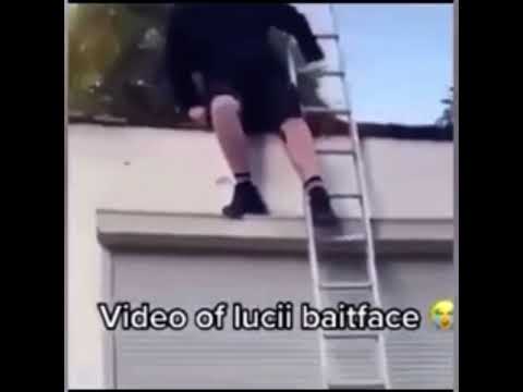 Lucii’s bait face.