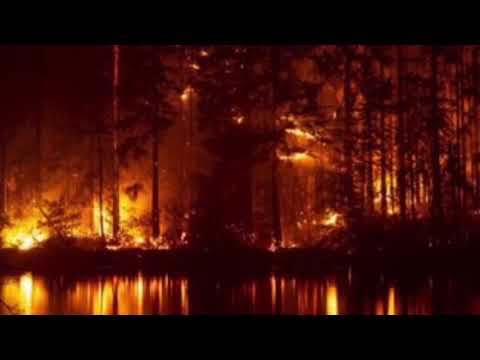 Oregon Fires Force 500,000 to Evacuate; California Fire Becomes State's Deadliest of 2020