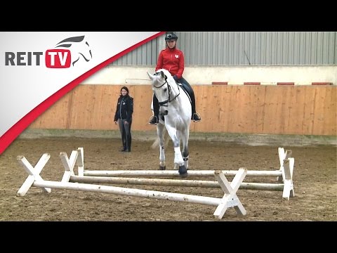 Springreiten lernen: Stangen- und Cavalettiarbeit - Mehr Balance im Trab