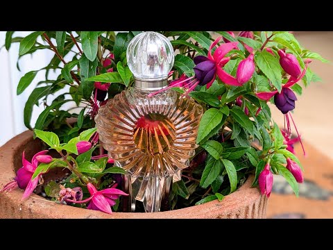 Master X Master Monet's Palette - Scorched Bloom of the Garden