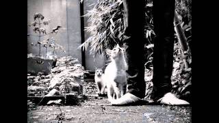 DJ Adlib - Been Around The World ft. Declaime