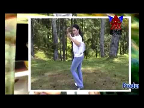 Dian Widya-Burung Dalam Sangkar  Disco House Dangdut