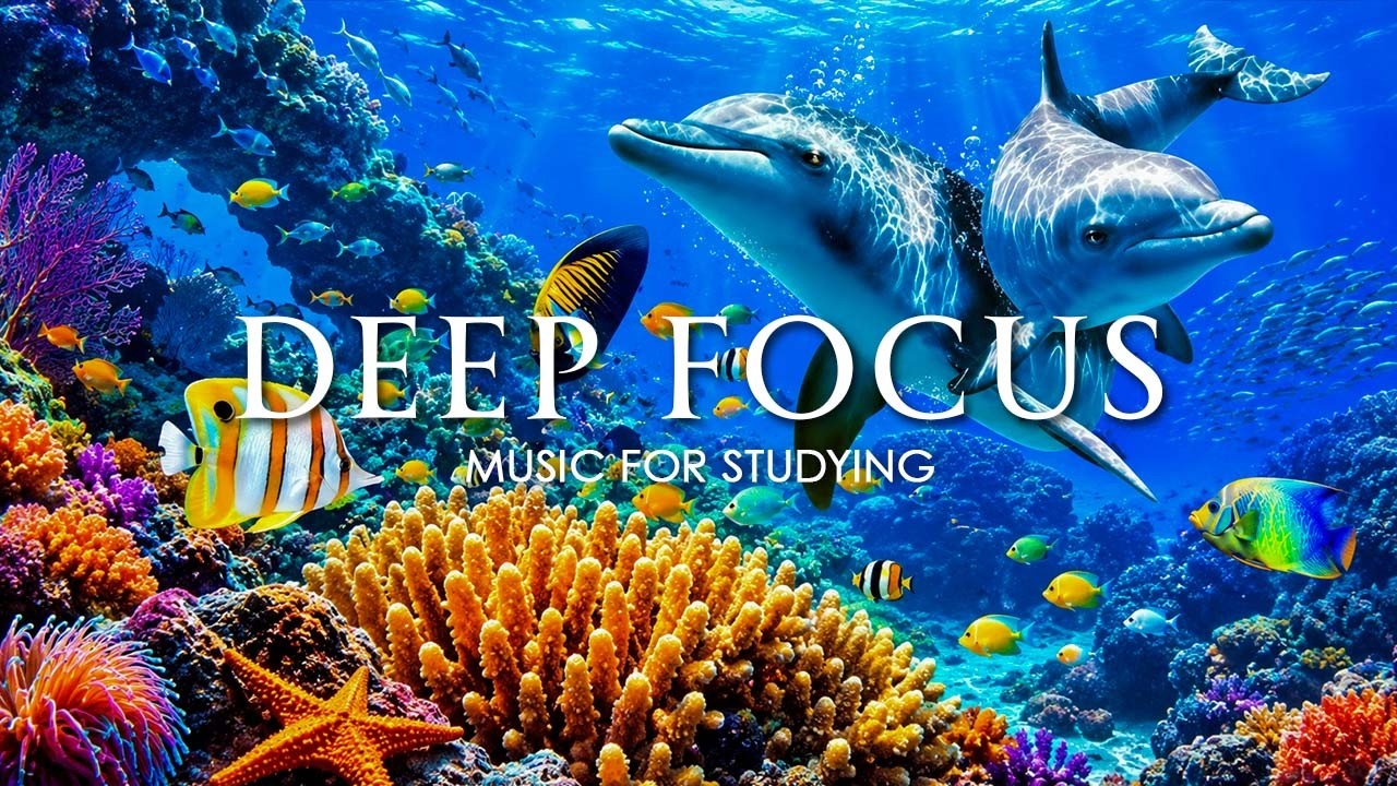 Deep Work Music for Concentration - 12 Hours of Ambient Study Music to Concentrate #77