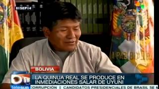 preview picture of video 'CAN declares Bolivia as royal quinoa's country of origin'