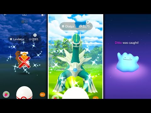 DIALGA & PALKIA ARE BACK EARLY IN POKEMON GO! No More Landorus / Easily Catch Ditto NOW