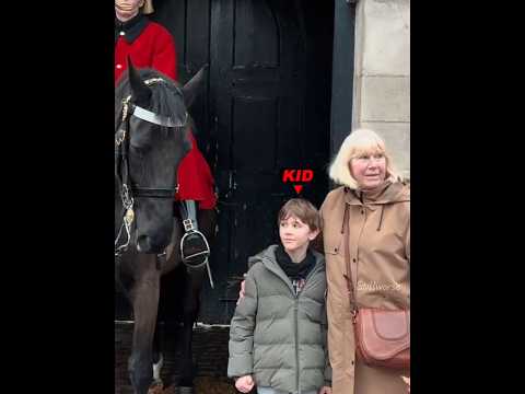 How King Guard Friendly With Babies 🥰#kingguard