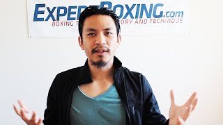 Boxing Heavy Bag Recommendation (different types and best ones to get)
