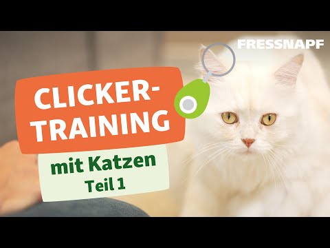 Clickertraining mit Katzen Teil 1/2