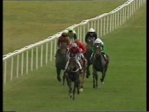 1991 Jockey Club Cup