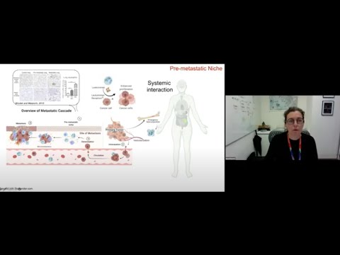 Day 1: Composition, Communication and Function of the Tumor Microenvironment