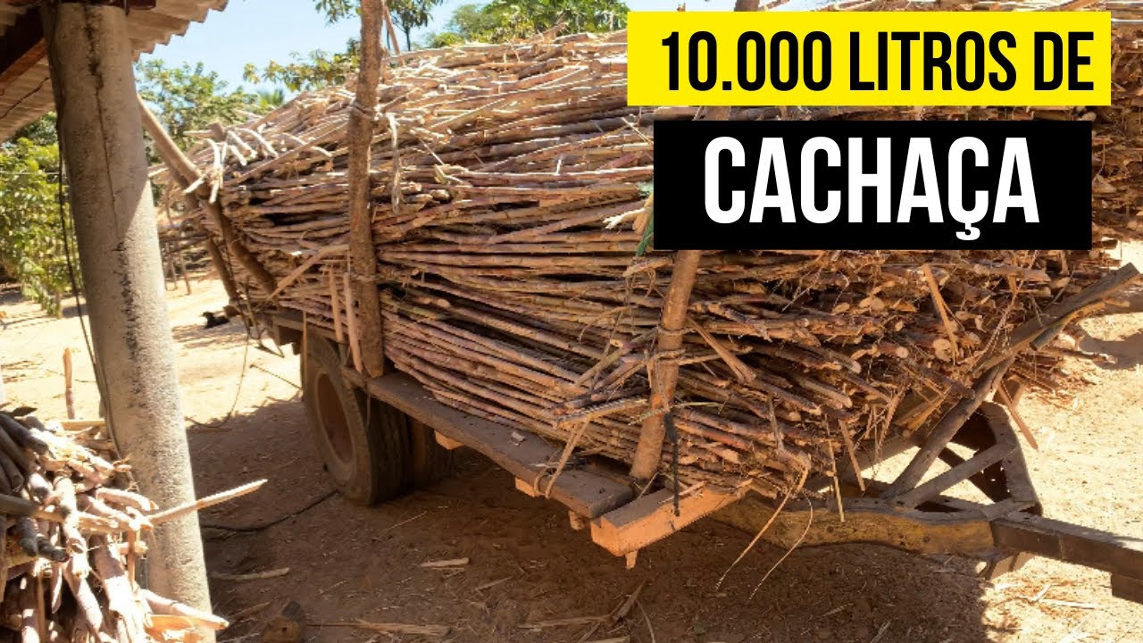 Como é produzida a CACHAÇA DE ALAMBIQUE? 🌾🍻