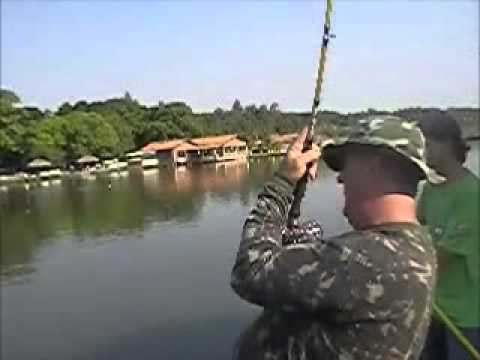 Arapaima přes 100 kg ze soukromáku