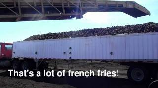 preview picture of video 'Potato Harvest 2011  - Menomonie, Wisconsin'