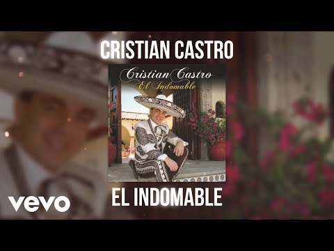 Si Acaso Vuelves - Cristian Castro