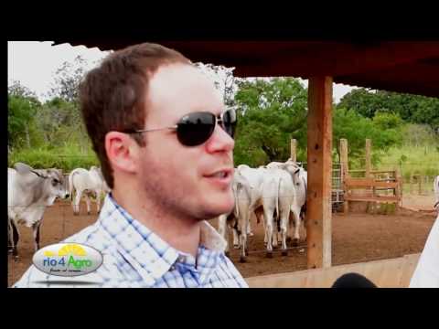 PROGRAMA RIO 4 AGRO 27 10 CANAL RURAL 1