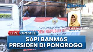 Sapi kurban Bantuan Prabowo Disembelih di Ponorogo, Daging Dibungkus Daun Pisang saat Dibagikan