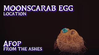 Moonscarab Egg Location • AFOP From the Ashes