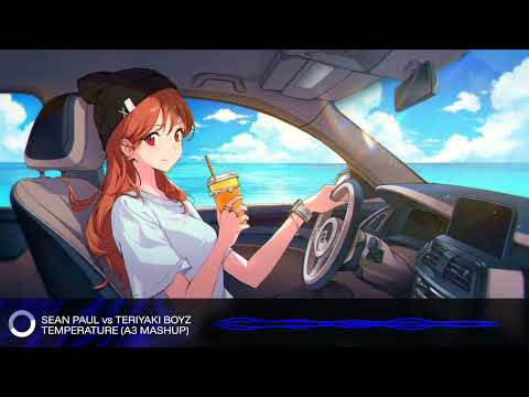 Sean Paul vs Teriyaki Boyz - Temperature (A3 Mashup)