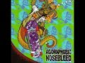 Agoraphobic Nosebleed - Degenerate Liar