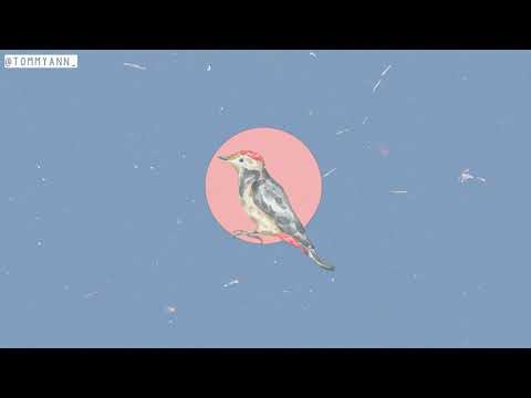 FREE | Xcho x Miyagi x Mr Lambo Type Beat - "Free Bird" | Piano Type Beat 2021