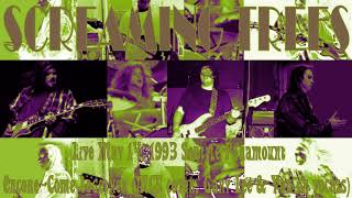 Screaming Trees Live at the Seattle Paramount 1993-Come Together (MC5 cover Gary Lee &amp; Van vocals)