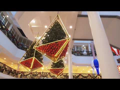 Super Socks | Arnotts Dublin