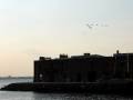 Red Arrows Over NY Harbor Exit Past Liberty Island