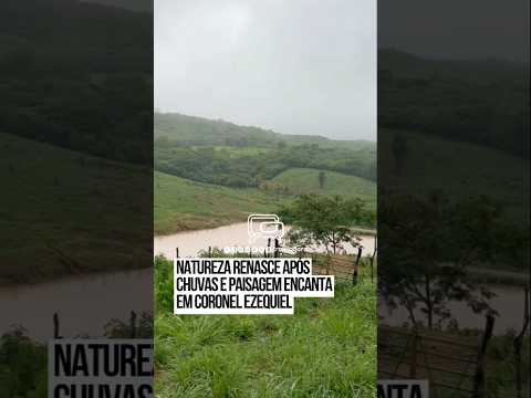Natureza renasce após chuvas e paisagem encanta em Coronel Ezequiel