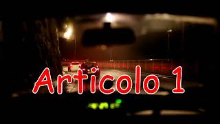 Alessandro Lilliu - Articolo 1