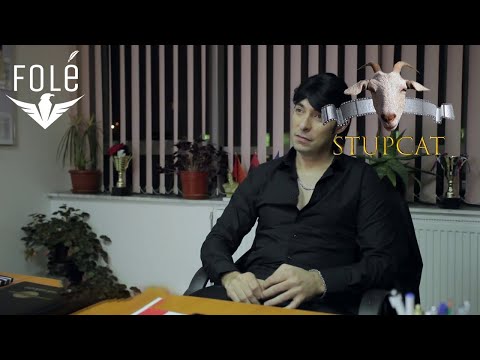 STUPCAT 2015 - Universiteti