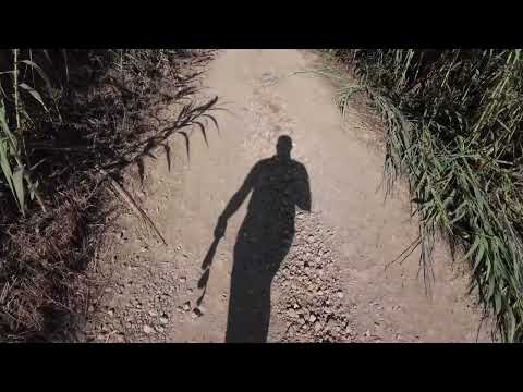 Doggie walk in the Lizandro Valley (Ericeira - Mafra - Portugal).