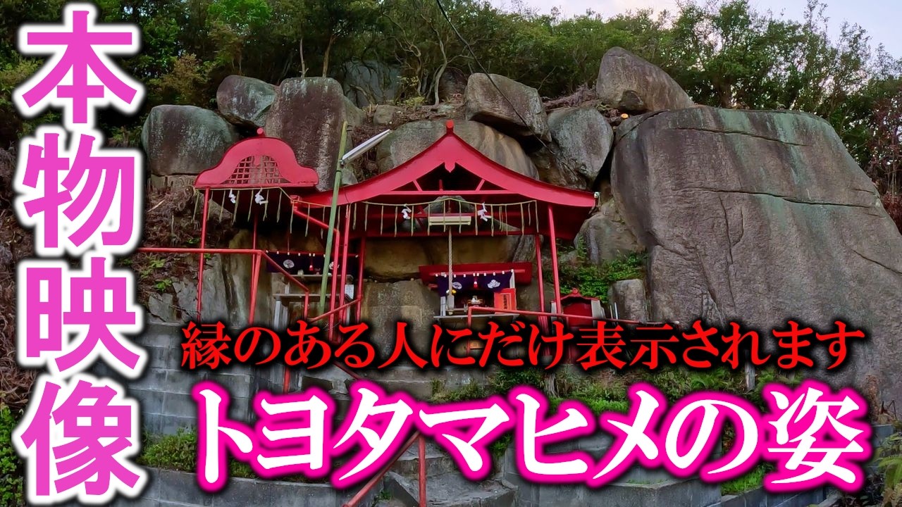 ⚠️トヨタマヒメ様が降臨しました※もし逃したら二度とありません※お姿を見られた人は強運。次々と良いことが起こり始めます｜玉比咩神社遠隔参拝461